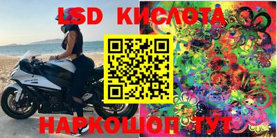 стафф Будённовск
