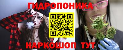 стафф Будённовск