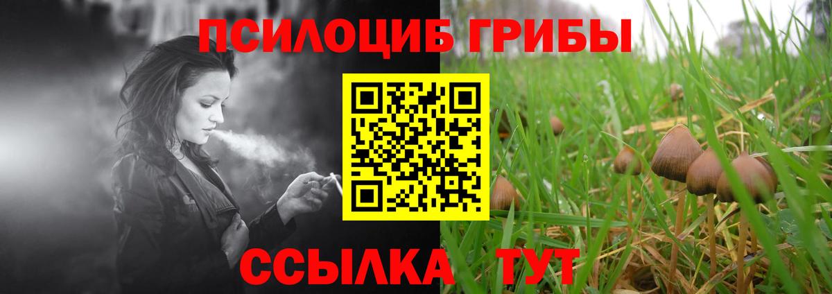 Псилоцибиновые грибы Magic Shrooms Мурманск